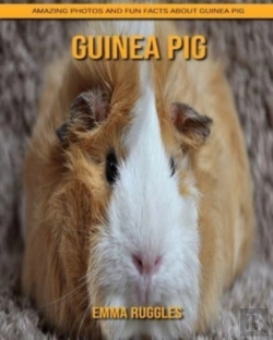 Bertrand.pt - Guinea Pig