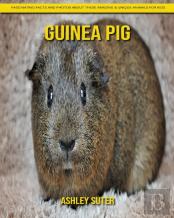 Guinea Pig