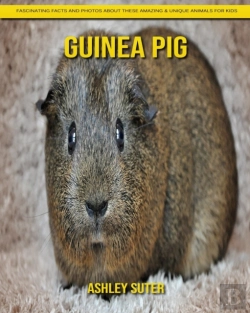 Bertrand.pt - Guinea Pig