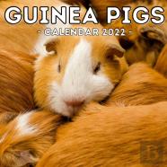 Guinea Pigs Calendar 2022