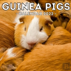 Bertrand.pt - Guinea Pigs Calendar 2022