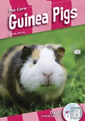 Guinea Pigs