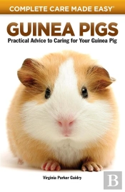 Guinea Pigs