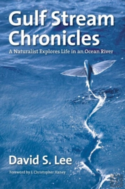 Bertrand.pt - Gulf Stream Chronicles