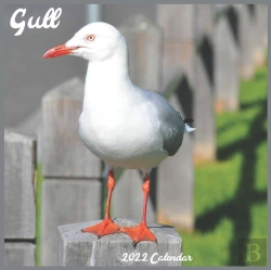 Bertrand.pt - Gull 2022 Calendar