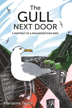 Bertrand.pt - Gull Next Door