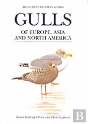 Gulls Of Europe, Asia And North America