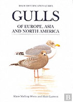 Bertrand.pt - Gulls Of Europe, Asia And North America