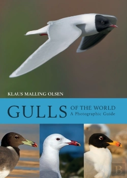 Bertrand.pt - Gulls Of The World