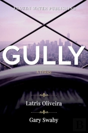 Gully
