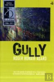 Gully