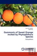 Gummosis Of Sweet Orange Incited By Phytophthora Species