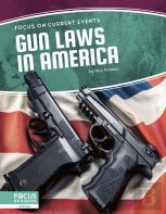 Gun Laws In America