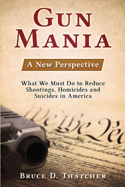 Bertrand.pt - Gun Mania: A New Perspective - What We M