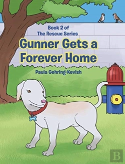 Bertrand.pt - Gunner Gets A Forever Home