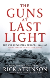 Guns At Last Light