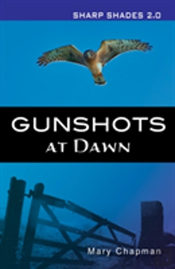 Bertrand.pt - Gunshots At Dawn  (Sharp Shades)