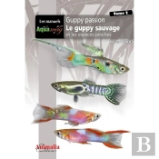 Guppy Passion, De L'Initiation Aux Concours