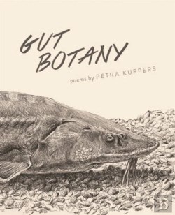 Bertrand.pt - Gut Botany