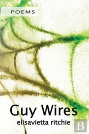 Guy Wires