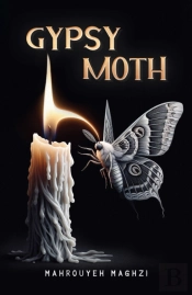 Gypsy Moth