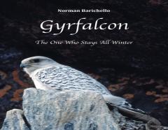 Gyrfalcon