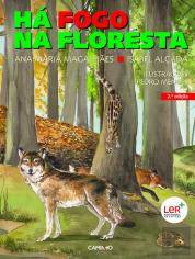 Há Fogo na Floresta