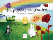 Há Pegadas no Arco-Íris