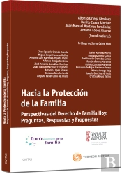 Hacia La Protección De La Familia - Perspectivas Del Derecho De Familia Hoy: Preguntas, Respuestas Y