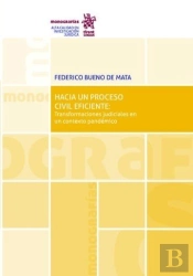 Hacia Un Proceso Civil Eficiente Transformaciones Judiciale
