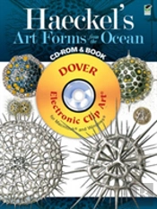 Haeckel'S Art Forms From The Ocean