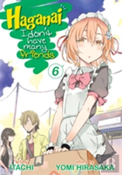 Haganai: I Don'T Have Many Friends Vol. 6