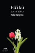 Haiku Ciclo Solar