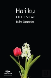 Haiku Ciclo Solar