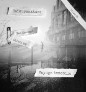 Haikupunkture - Voyage Immobile