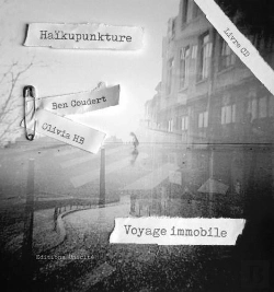 Bertrand.pt - Haikupunkture - Voyage Immobile