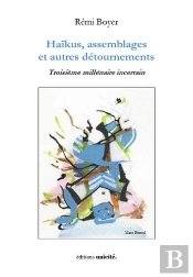 Haïkus, Assemblages Et Autres Détournements ; Troisième Millénaire Incertain