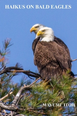 Bertrand.pt - Haikus   On   Bald Eagles