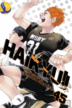 Bertrand.pt - Haikyu!!, Vol. 45