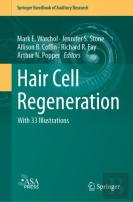 Hair Cell Regeneration