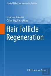 Hair Follicle Regeneration