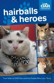 Hairballs And Heroes