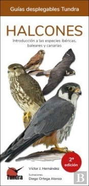 Halcones - Guias Desplegables Tundra