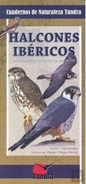 Halcones Ibericos: Introduccion A Todas Las Especies 