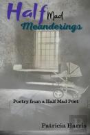 Half-Mad Meanderings