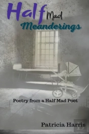 Half-Mad Meanderings