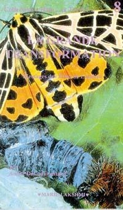 Bertrand.pt - Halo... La Terre T.8 : La Grande Transformation