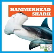 Hammerhead Shark