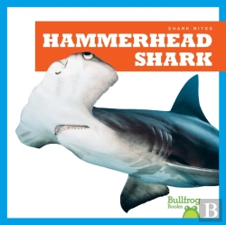 Bertrand.pt - Hammerhead Shark