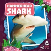 Hammerhead Shark